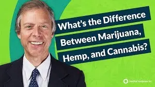 What's the Difference Between Marijuana, Hemp, and Cannabis?