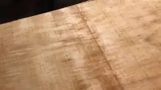 Ancientwood Ray 7