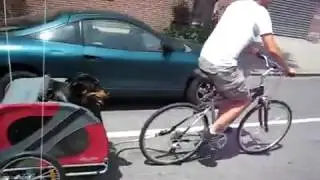 Original DoggyRide Trailer