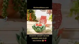 SCENTSY DESERT BLOOM WARMER AND RUBY NECTARINE SCENT ❤