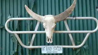 Mt Bundy Station NT