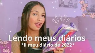 LENDO MEUS DIÁRIOS