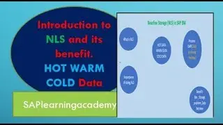 Introduction to Nearline Storage in SAP BW and its benefit || Hot, Warm & Cold data concept in SAP