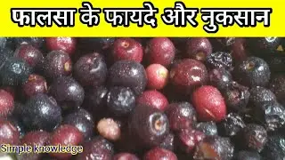 फालसा खाने के फायदे और नुकसान - Falsa khane ke fayde aur nukasaan / Simple Knowledge