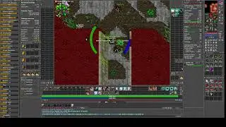 Tibia - Hunt Tarantula Cave Port Hope - Knight Lv
