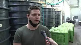 KISELI KUPUS IZ CARSKE BAŠTE PONOVO NA TRŽIŠTU