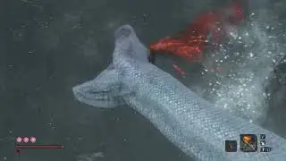 Суета в Луизиане