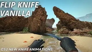 Flip Knife Vanilla | CS2 Skin Showcase with NEWEST Animation