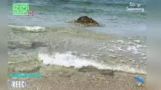 Kalathas Beach Greece: #shorts