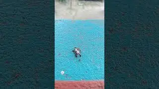 🐜 Ants Teamwork in Action | Amazing Ants Carrying Food | #Ants #Teamwork #Motivation #AntsTeamwork
