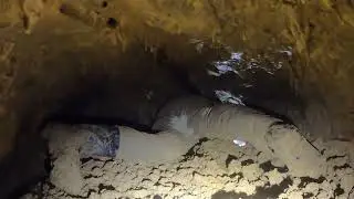 Ševčík pokračuje 8 - Růžová chodba