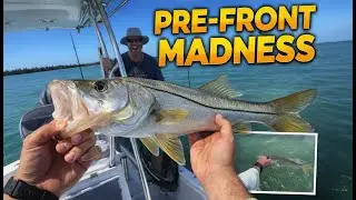Winter Inshore Fishing: Cracking the Code in Pine Island