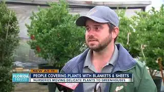 Homeowners, nurseries prepare for freeze warning by covering plants