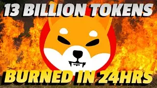 Let the BURN begin! | Shiba Burn Analysis