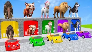Long Slide Game with Cow Elephant Gorilla Hippopotamus Tiger 3d Animal Game Funny 3d Animals