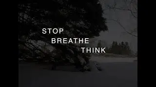 STOP BREATHE THINK | LYRIC VIDEO