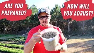 Why Are Fertilizers So Expensive?!