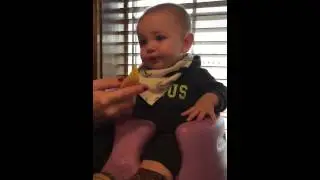 Babies eating lemons