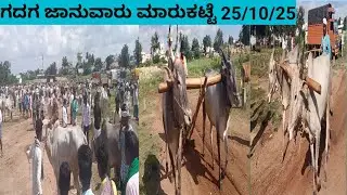 ಗದಗ ||ಜಾನುವಾರು ||ಮಾರುಕಟ್ಟೆ ||Gadag#cow #bull #maarukatte ||25~10~25