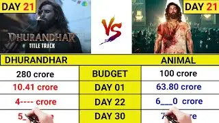 Dhurandhar movie day 21 collection|Animal|Dhurandhar|Ranbir Kapoor|Ranveer Singh| topalways 