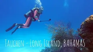 Tauchen auf Long Island (Bahamas)
