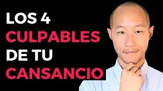 4 Ladrones que te roban la energ&iacute;a, y no te dejan disfrutar de la vida