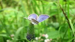 Abraham Hicks 2017 ✪ Creating using Pre paving   the placemat process