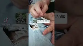 Cuộc sống h&agrave;ng ng&agrave;y #cuocsong #hoangda