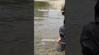 Поймал-отпустил #сахалин #рыбалка #туризм #fishing #рыба #сима