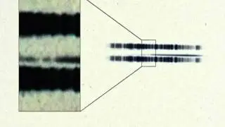 AKB 1917 Image Reveals First Ever Evidence of Exo Planetary System