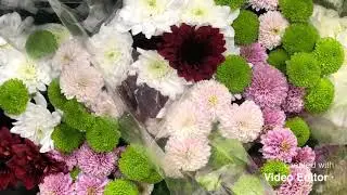 Flowers in Calgary wholesale