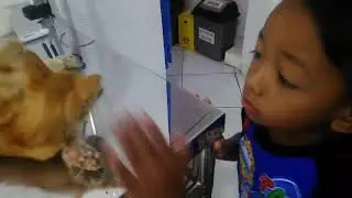 ARKHANA BOY NYELAMATKAN KUCING JALANAN -Save Little Kitten from Street