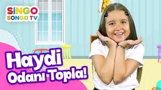 HAYDİ ODANI TOPLA 👏🏼 🎉 - SİNGOSONGO TV I ÇOCUK ŞARKILARI 🎵