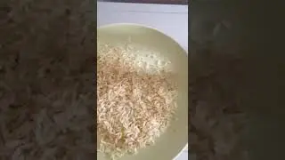 Manifest money using Rice And Coin