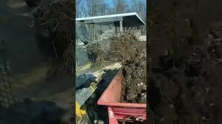 Loading manure in February ❄️🥶