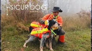 SicurDog: Leggero, Morbido, Impenetrabile e pressochè 