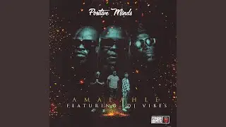 Amalahle (feat. DJ Vibes)