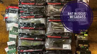 Bait In Focus - Megabass Hazedong Shad
