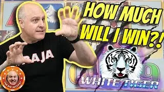 🐯NEVER BEFORE SEEN! 🐯How Much Will I Win on White Tiger Slots?! 🎰