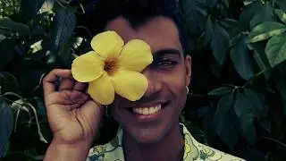 D'black - Camomila