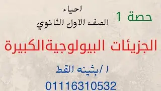 التركيب الكيميائي لاجسام الكائنات الحية احياء #اولى_ثانوي