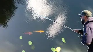Un DOUBLÉ IMPROPABLE !!! OUVERTURE pêche de la carpe