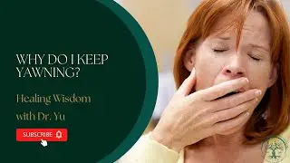Why Do I Keep Yawning? | Traditional Chinese Medicine | Healing Wisdom with Dr. Yu