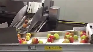 Sraml apple washer JP6000