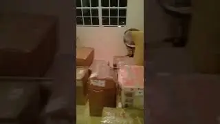 Pro - Movers: Packing and securing cargo