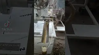 aspir yagi makinasi.dms500 model.soguk pres yag makinasi