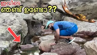 EP #03 കാട്ടിൽ മീൻ പിടിക്കാൻ കേറിയതാ... പക്ഷെ…| Fishing in Forest