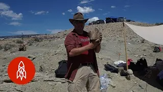 New Tools, Old Bones: Bringing Fossils to Life Through Technology