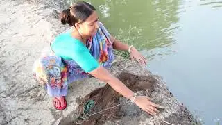 Village Woman Catching Fish literally with Cast Net throwing in native Pond.