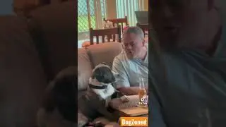 When your dad didn&rsquo;t want the dog&hellip; and ends up doing this &hellip;